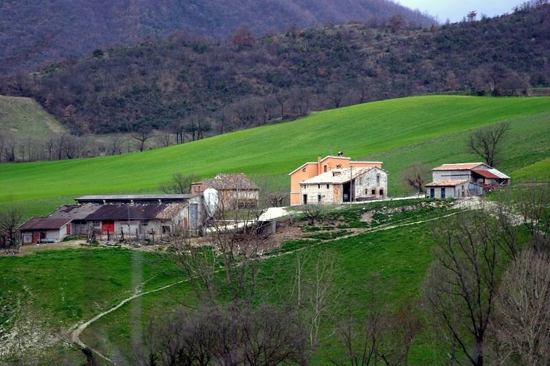 Aziende agricole come trovare i fondi Mille Idee Regalo